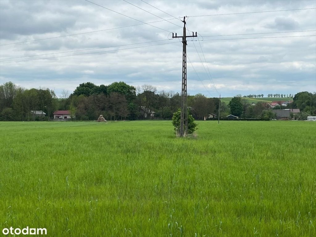 Działka rolna na sprzedaż Trzciniec  25 078m2 Foto 2