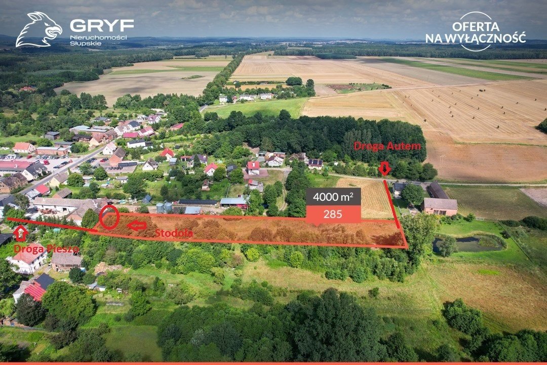 Zapraszam do obejrzenia działki 4000 m² z lasem i słoneczną ekspozycją Wielka Wieś  4 000m2 Foto 1