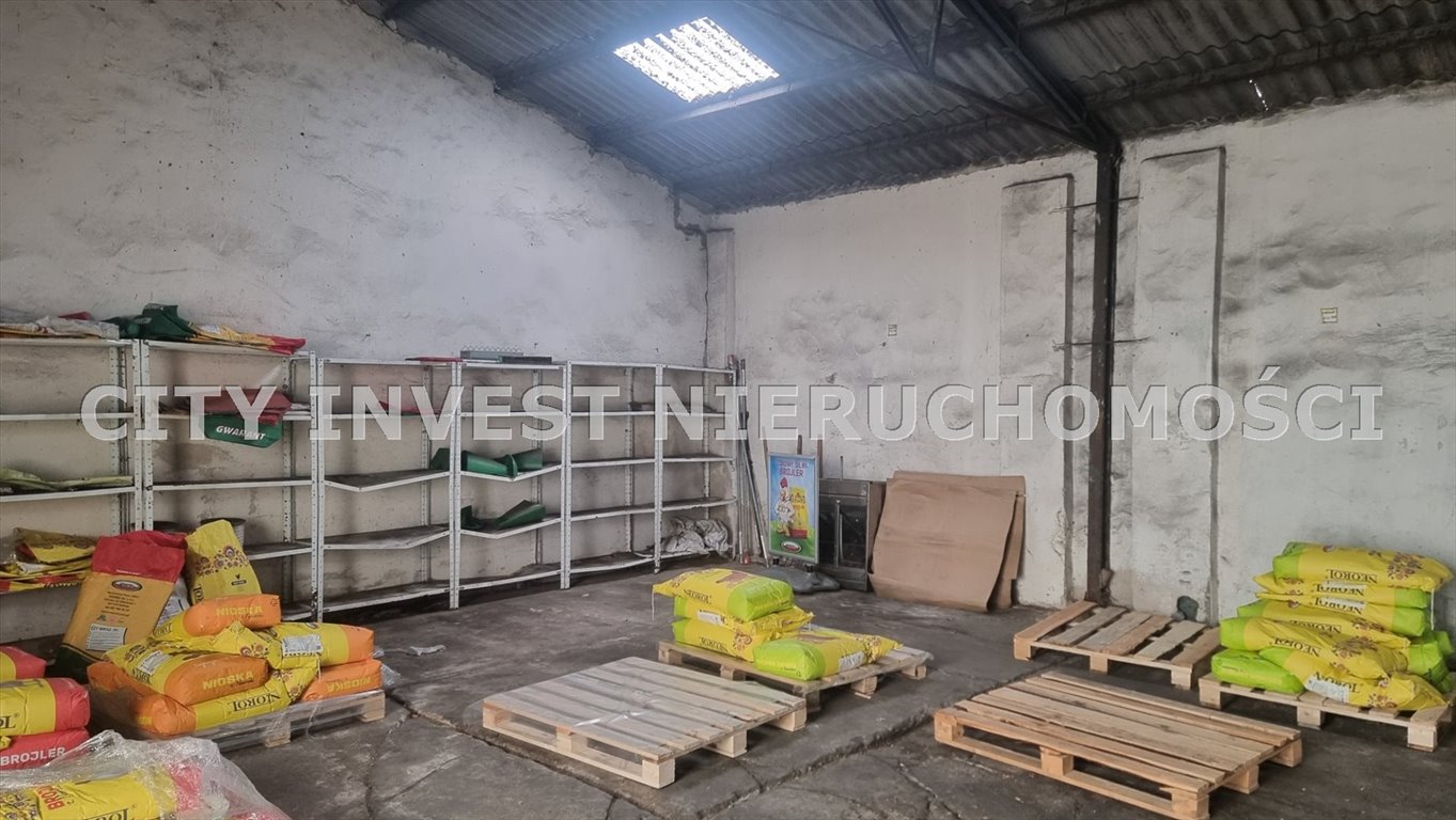 Lokal użytkowy na sprzedaż Pniewy  10 060m2 Foto 5