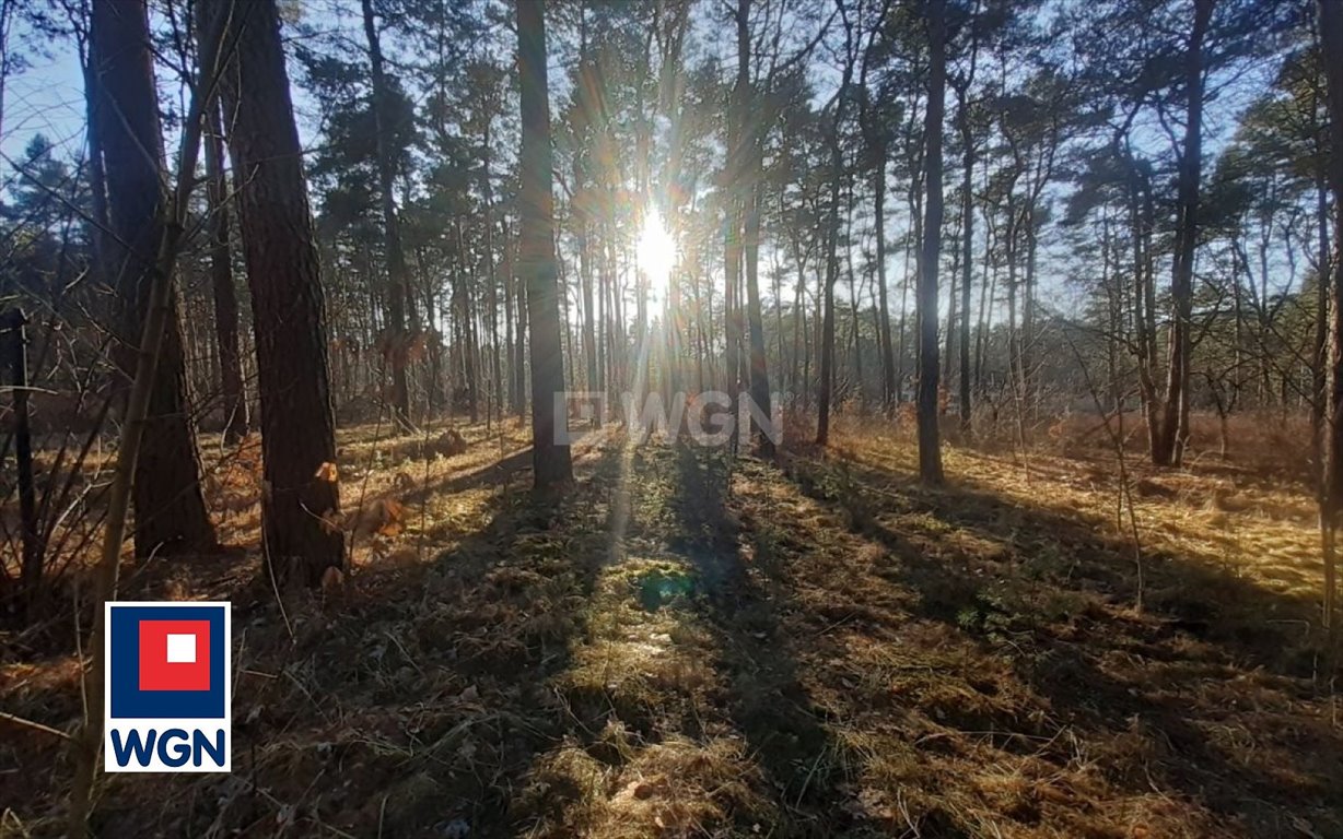 Dom na sprzedaż Żarki-Letnisko, Centrum, Grunwaldzka  400m2 Foto 9