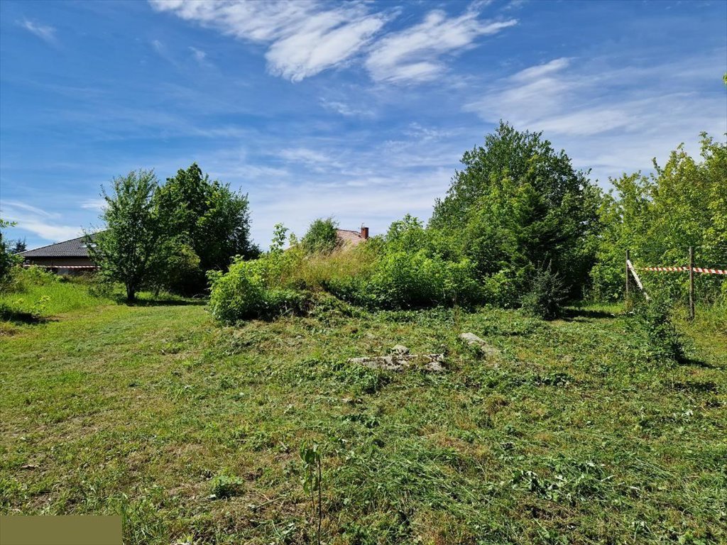 Działka budowlana na sprzedaż Kurów, Na Klifie  1 650m2 Foto 5