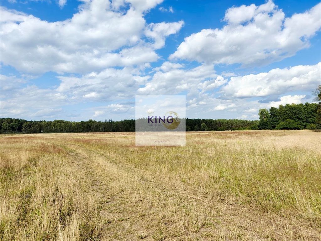 Działka rekreacyjna 6240 m² z możliwością domku i stawu Stolec  6 241m2 Foto 1