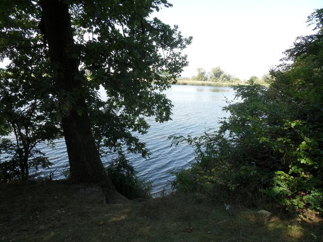 Działka 863 m2 z lasem i planem zabudowy w Dębce Dębce  863m2 Foto 1