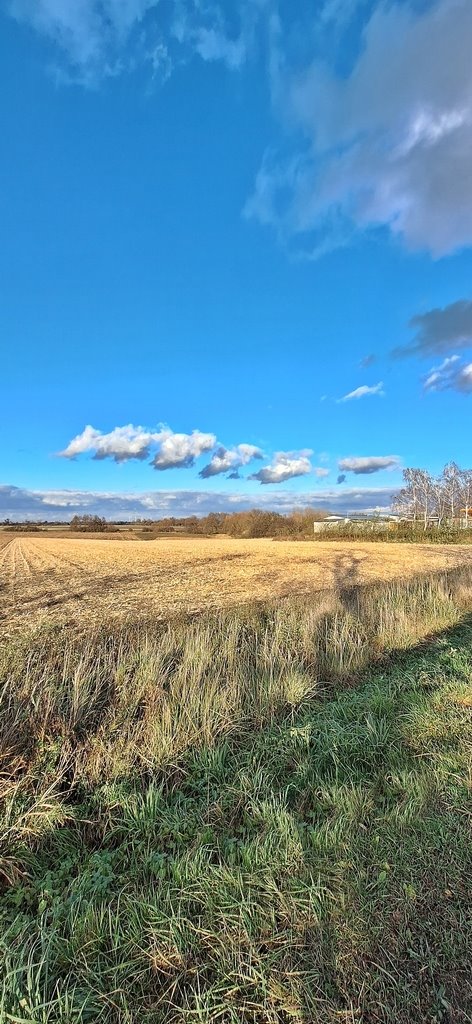Działka inwestycyjna przy DK 39 w Wiązowie - potencjał rozwoju. Wiązów  15 292m2 Foto 1