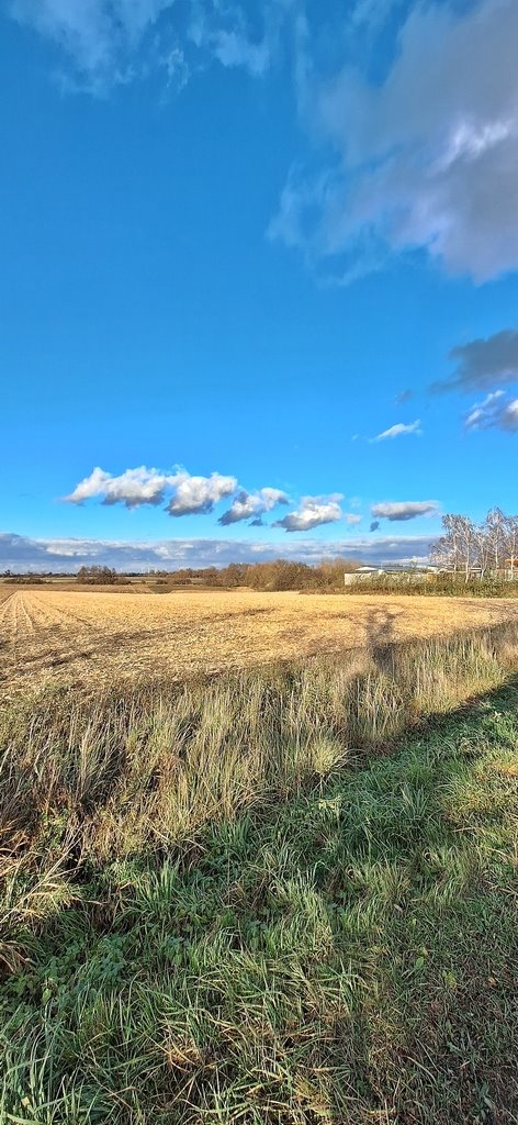 Działka inwestycyjna na sprzedaż Wiązów  15 200m2 Foto 3