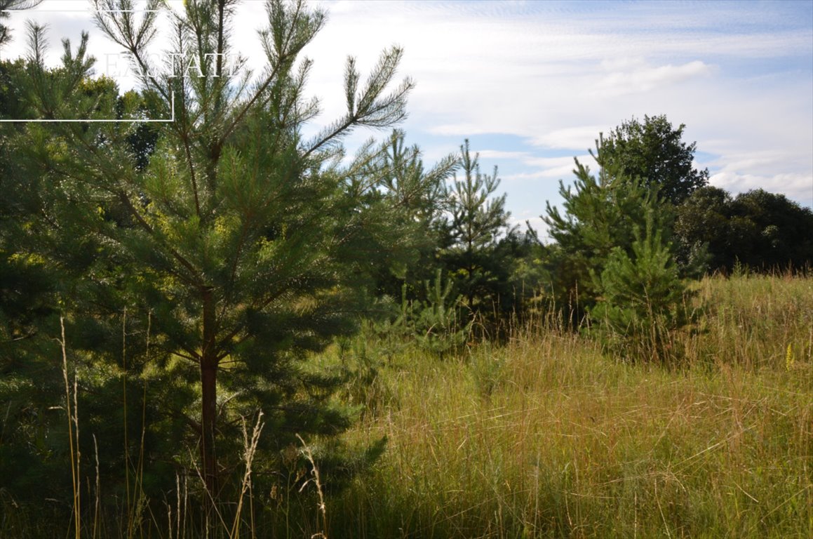 Dom na sprzedaż Ołowskie  345m2 Foto 5