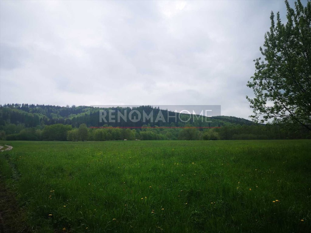 Malownicza działka z widokiem na góry, las i prąd Szklarka, Szklarka  3 166m2 Foto 1