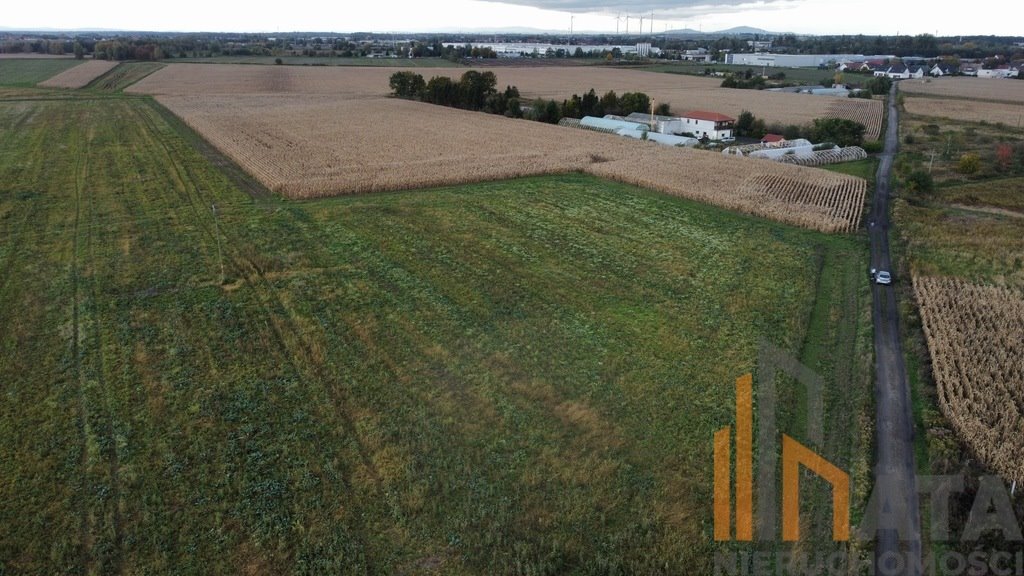 Działka komercyjna na sprzedaż Ścinawa Polska  4 300m2 Foto 2