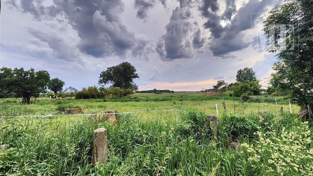 Działka budowlana na sprzedaż Gąsierzyno, Wojska Polskiego  3 000m2 Foto 1