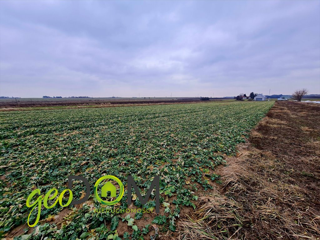 Działka 1830 m² w Pliszczynie - spokojna okolica, blisko drogi Pliszczyn  1 830m2 Foto 1