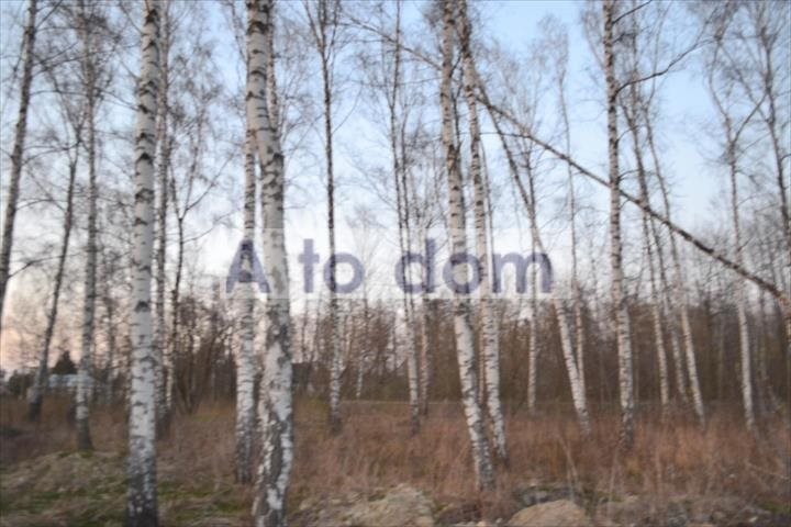 Działka 3000 m² z mediami i lasem w Kobyłce Kobyłka  3 000m2 Foto 1