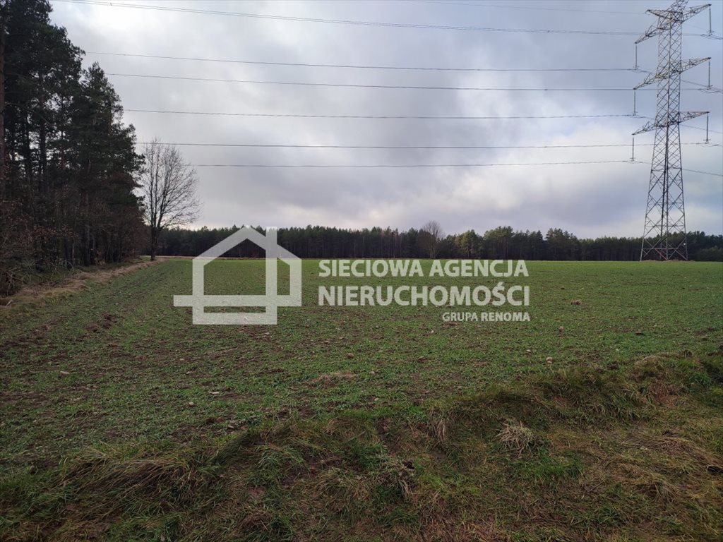 Sprzedam działkę rolną 20 361 m² z mediami i lasami Kowalewo  20 361m2 Foto 1