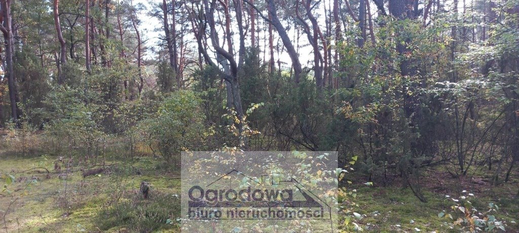 Sprzedam działkę rekreacyjną 2401 m² z lasem i dostępem do rzeki Popowo-Letnisko  2 401m2 Foto 1