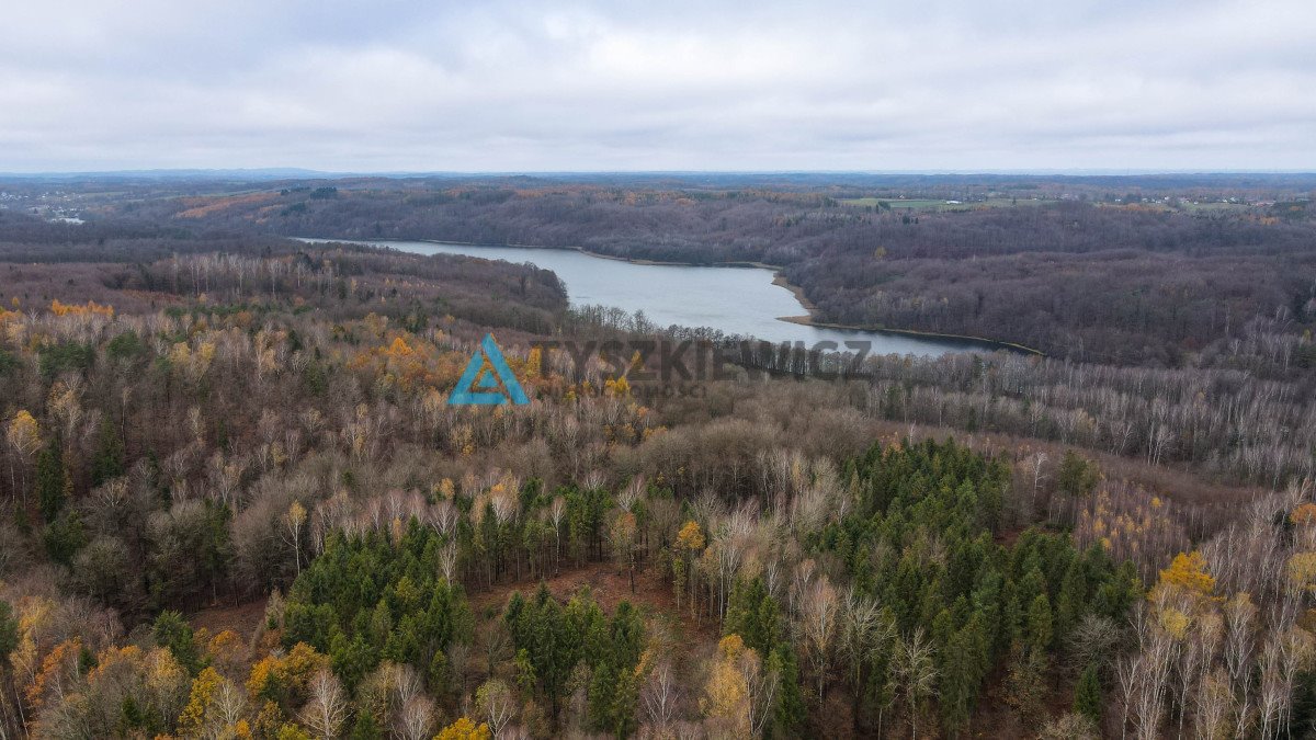 Działka budowlana na sprzedaż Miłowo  1 628m2 Foto 4