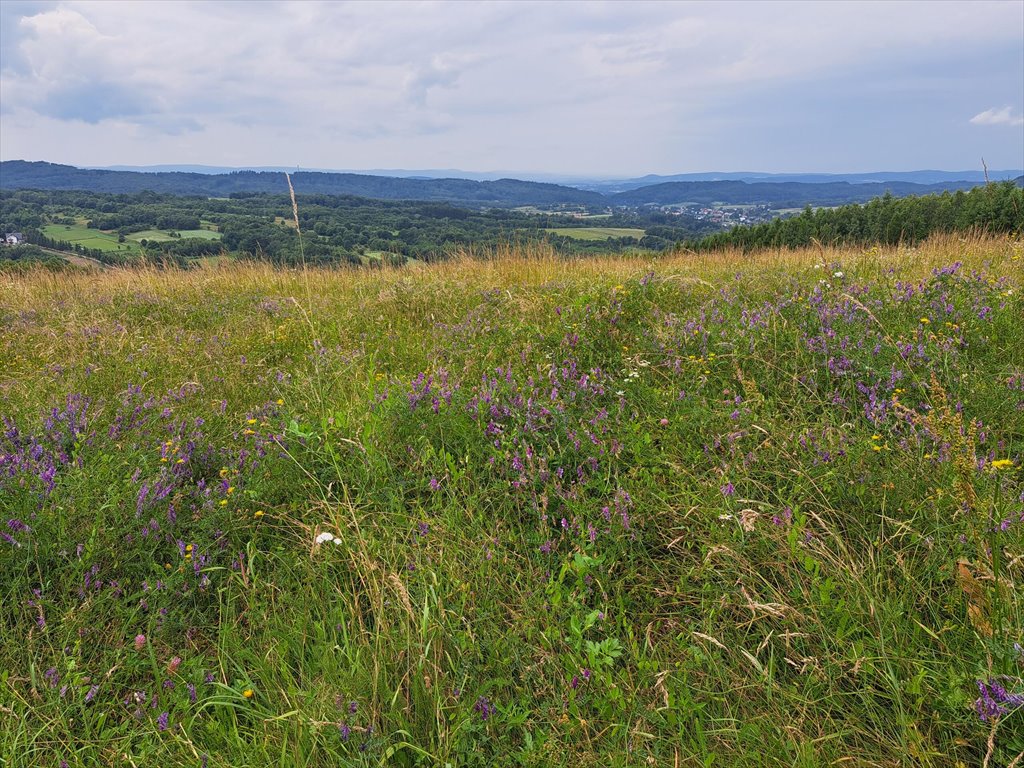 Działka rolna na sprzedaż Niebocko  2 860m2 Foto 8