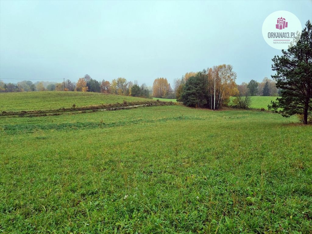 Działka rolna na sprzedaż Przykop, Przykop  27 623m2 Foto 6