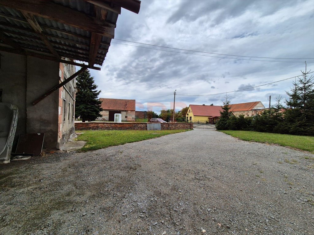 Lokal użytkowy na sprzedaż Kostomłoty  80m2 Foto 2