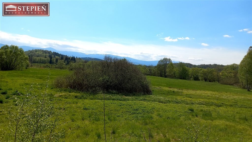 Działka budowlana na sprzedaż Bobrów  3 859m2 Foto 1