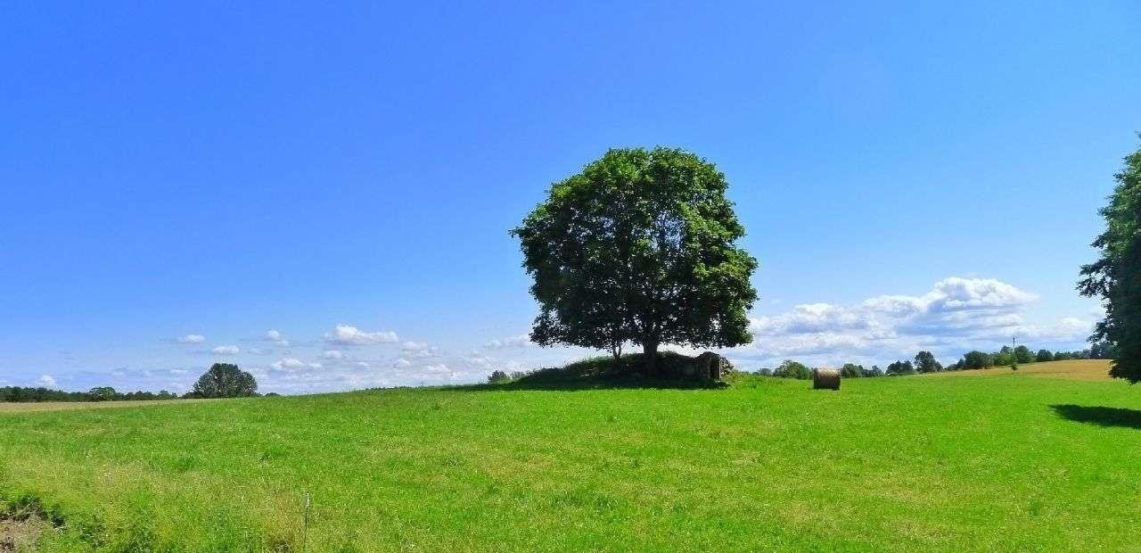 Działka budowlana na sprzedaż Suwałki  1 000m2 Foto 4