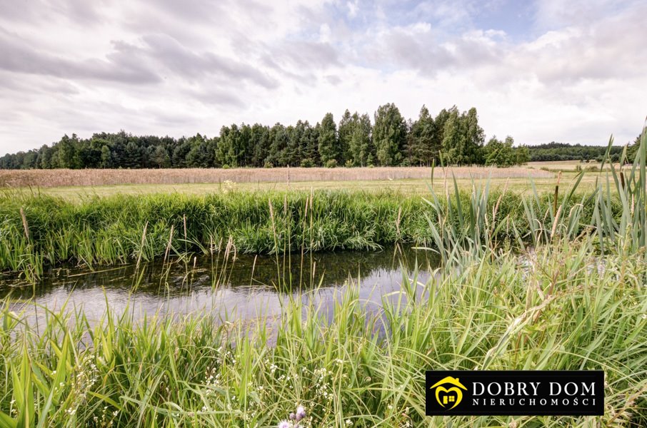 Działka rolna na sprzedaż Lipowy Most  2 800m2 Foto 7