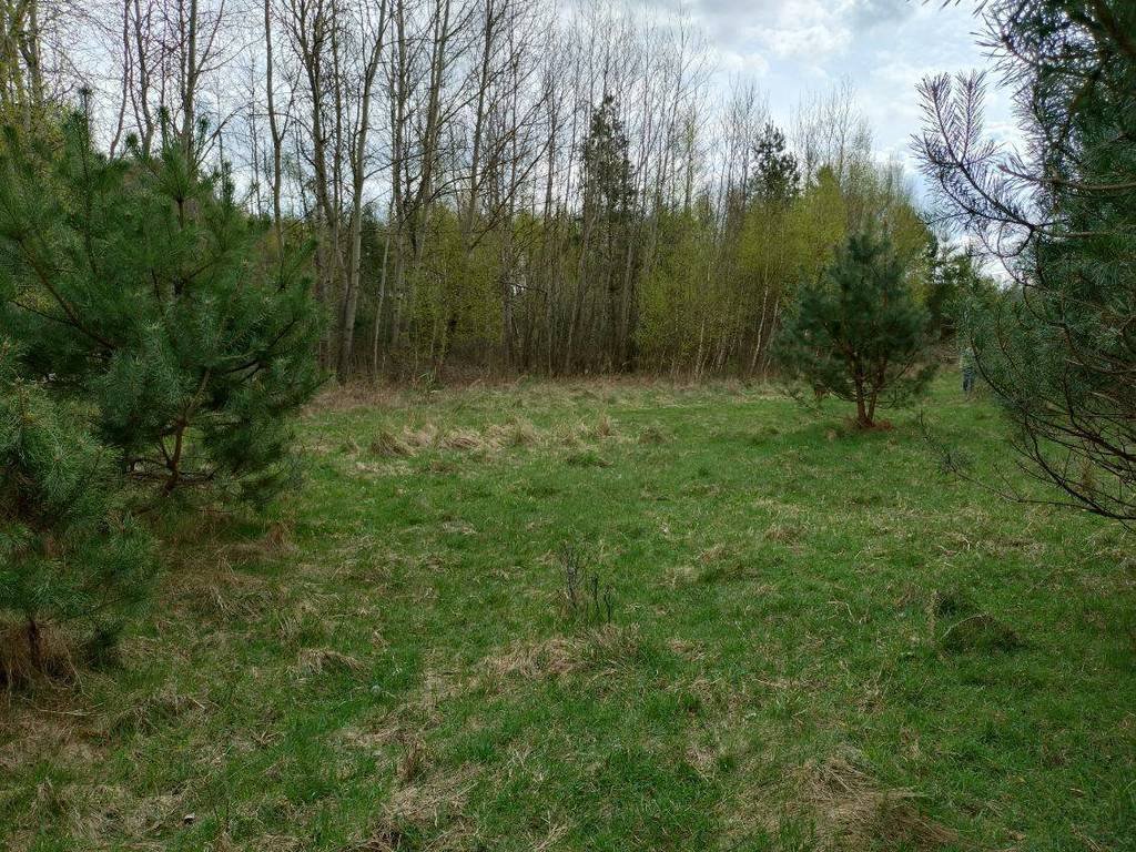 Działki 300 m² przy lesie, dostęp do drogi i mediów Gidle  300m2 Foto 1