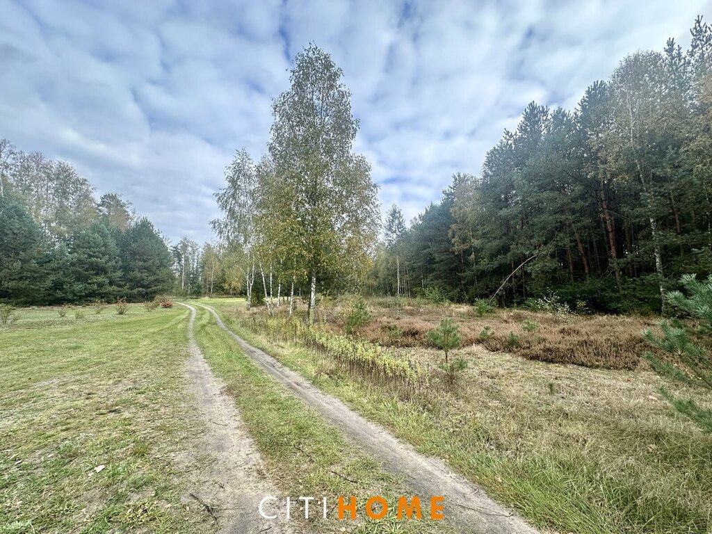 Działka 4303 m² w otulinie lasu z mediami i możliwością podziału Karczunek  4 303m2 Foto 1