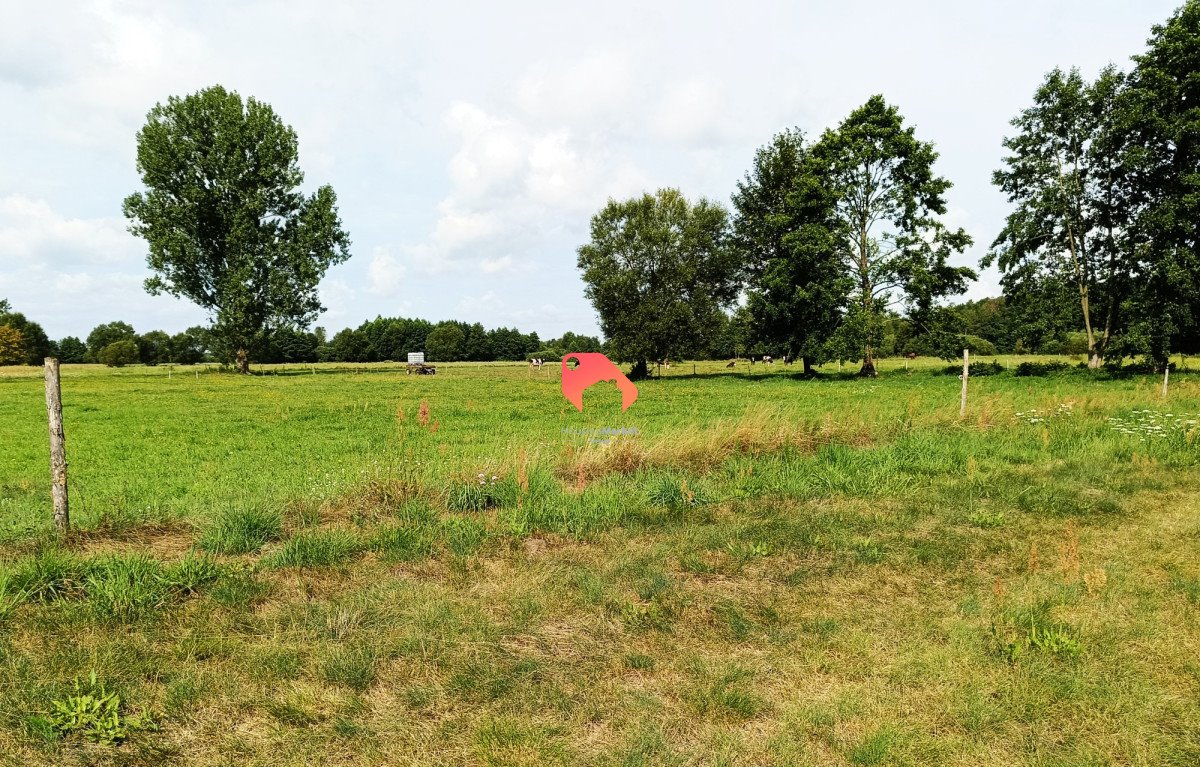 Działka budowlana na sprzedaż Polichno  35 800m2 Foto 5