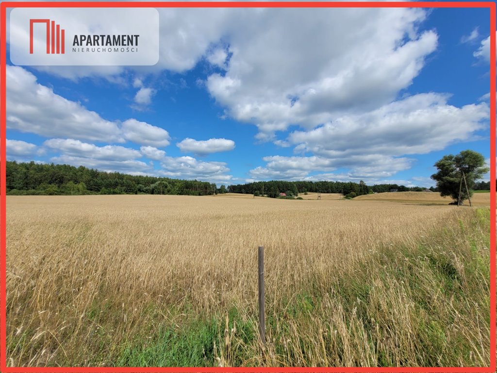 Działka gospodarstwo rolne na sprzedaż Skorzewo  3 000m2 Foto 1