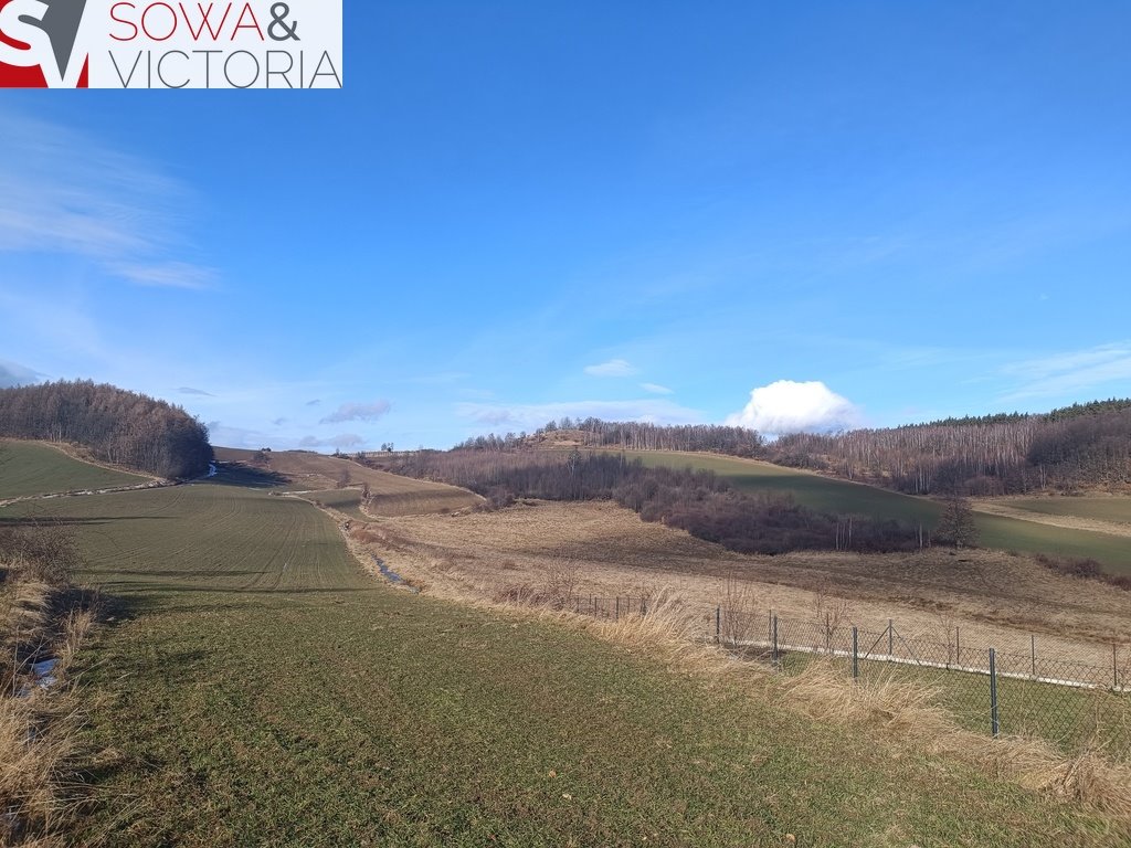 Działka rolna 46 967 m² z możliwością winnicy i upraw Pogorzała  46 967m2 Foto 1