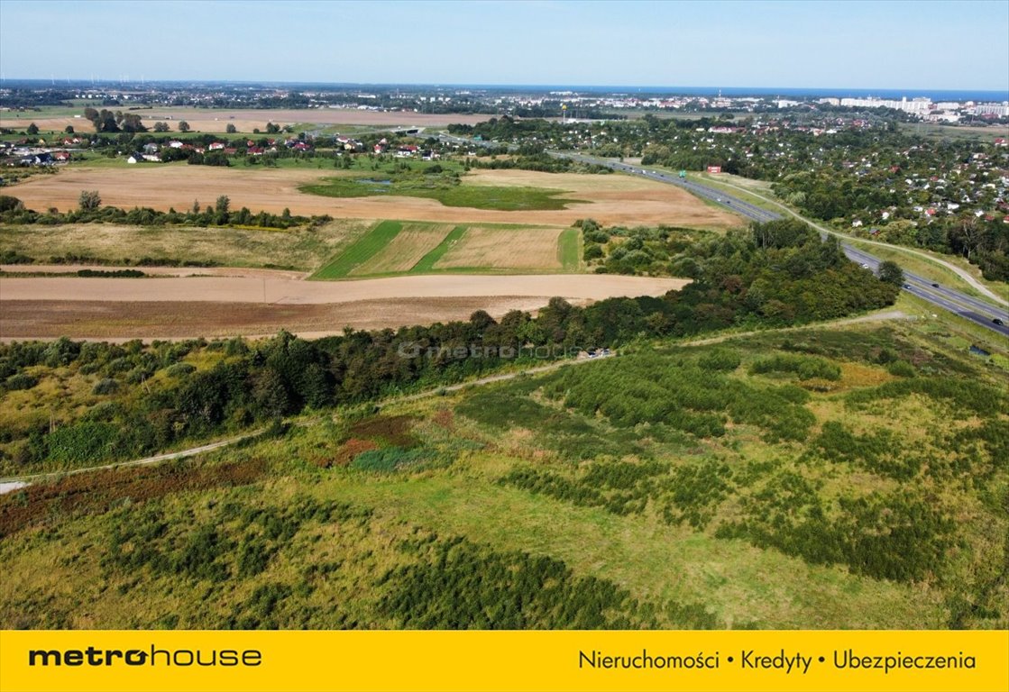 Działka rolna na sprzedaż Niekanin  19 000m2 Foto 4