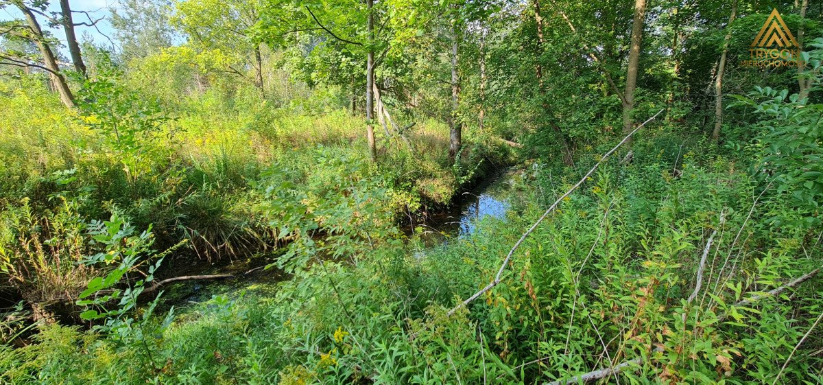 Działka budowlana na sprzedaż Wiązowna, Wiązowna Kościelna, Duchnowska  2 000m2 Foto 3