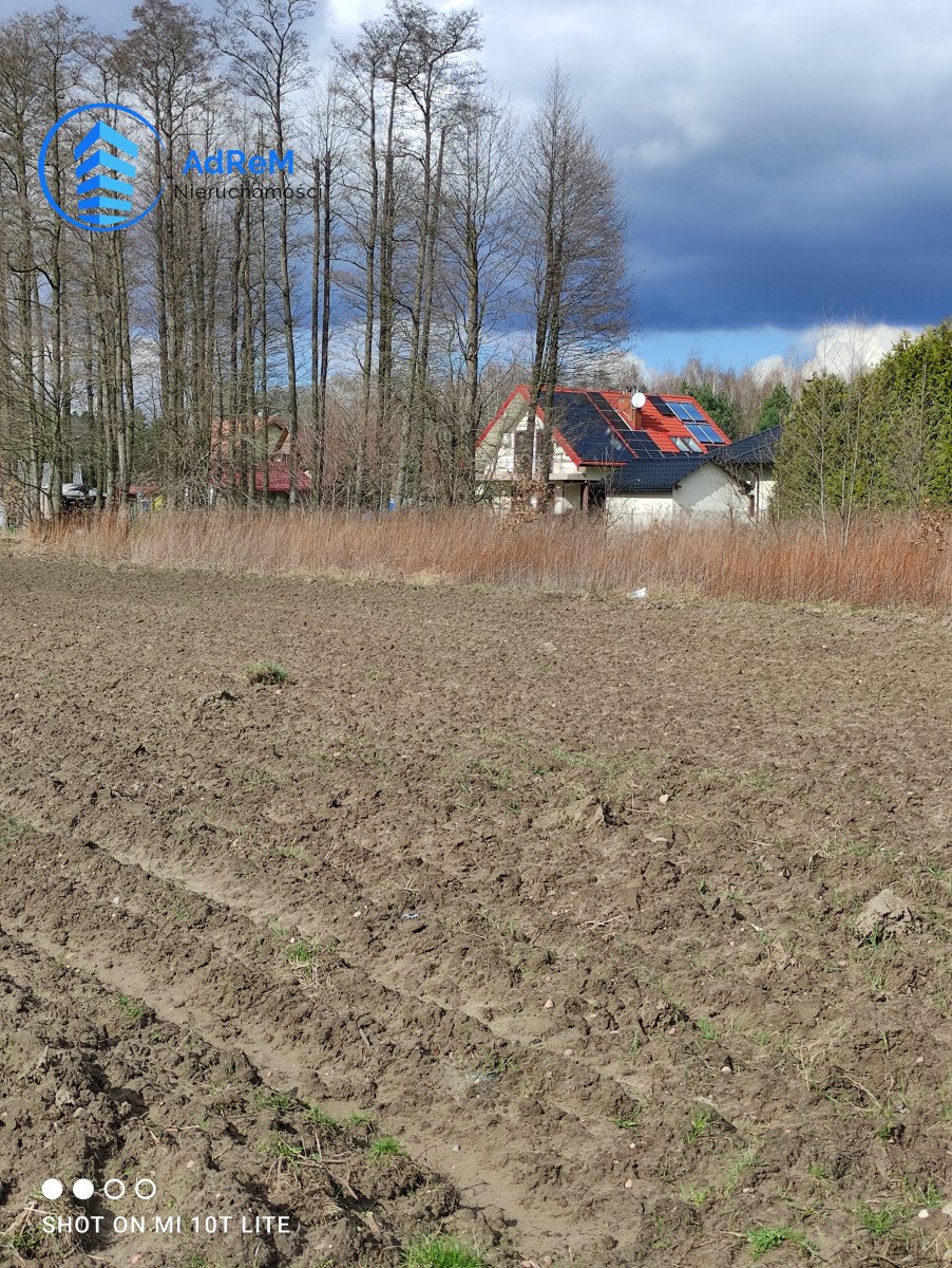 Działka budowlana na sprzedaż Robercin  6 134m2 Foto 2