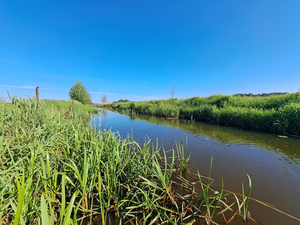 Działka budowlana na sprzedaż Golanka  1 347m2 Foto 14