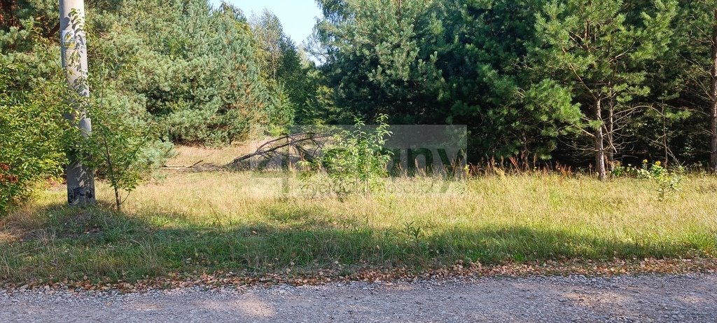 Działka 19 000 m² z lasem i mediami, MPZP, Zalesie Zalesie  19 000m2 Foto 1
