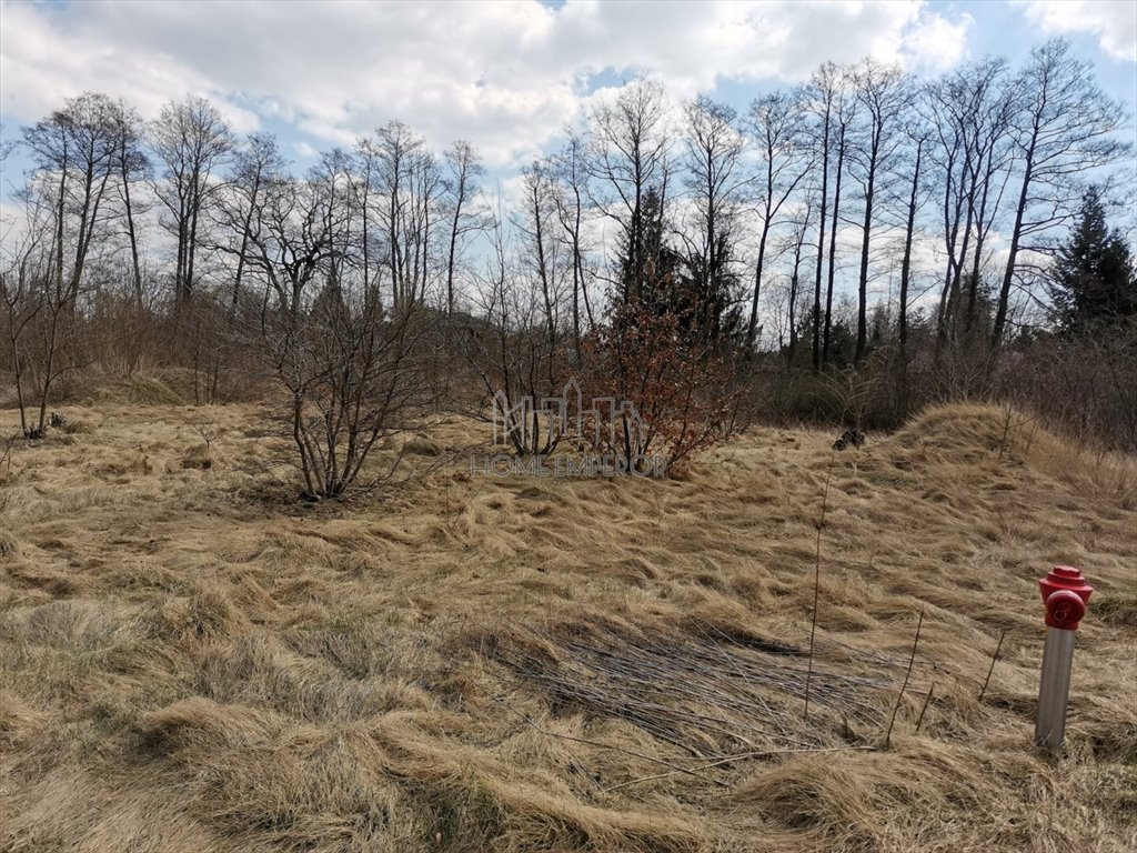 Działka budowlana na sprzedaż Chylice, Grodzka  9 561m2 Foto 3