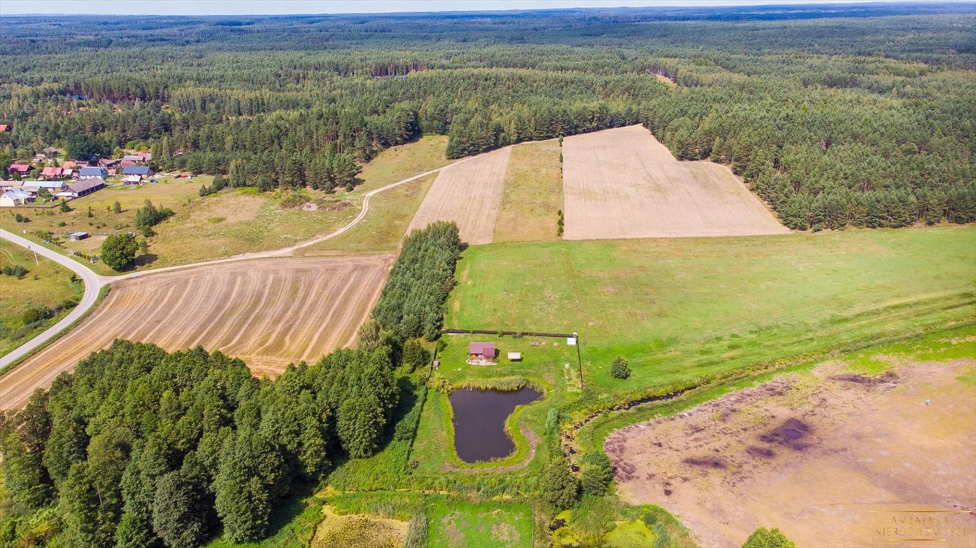 Działka budowlana na sprzedaż Wasilków  5 198m2 Foto 4