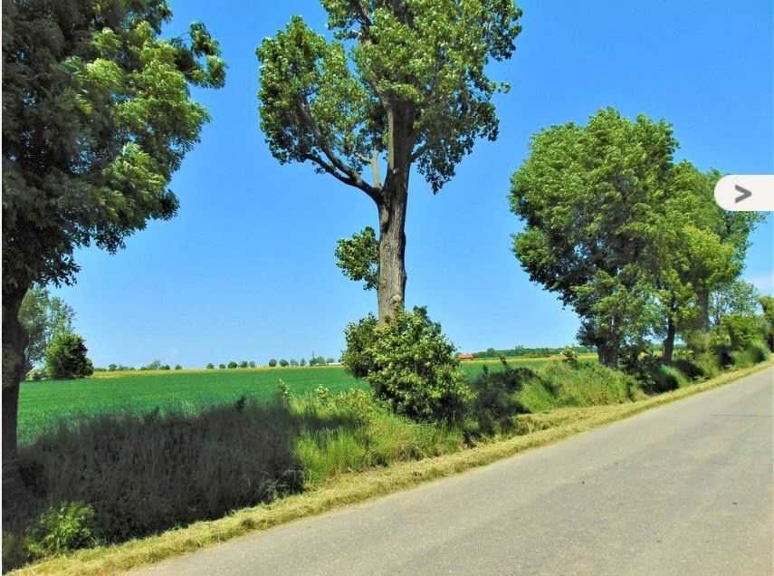 Działka budowlana na sprzedaż Mielęcin, Mielęcin  1 358m2 Foto 6