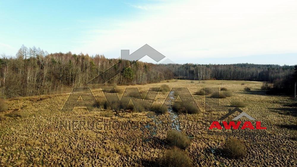 Działka gospodarstwo rolne na sprzedaż Leśniewo, Mechowska  25 200m2 Foto 2