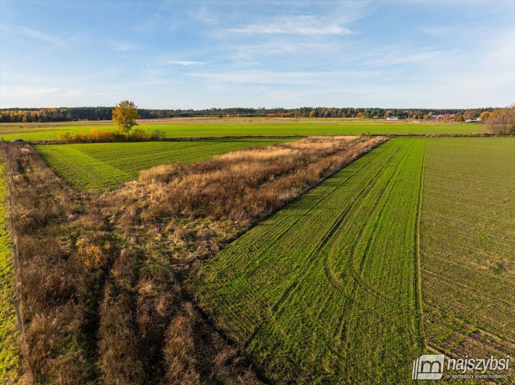 Działka rolna na sprzedaż Glewice, centrum  2 777m2 Foto 13