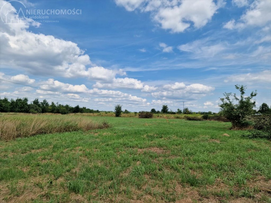 Działka budowlana na sprzedaż Krzeczów  1 100m2 Foto 10