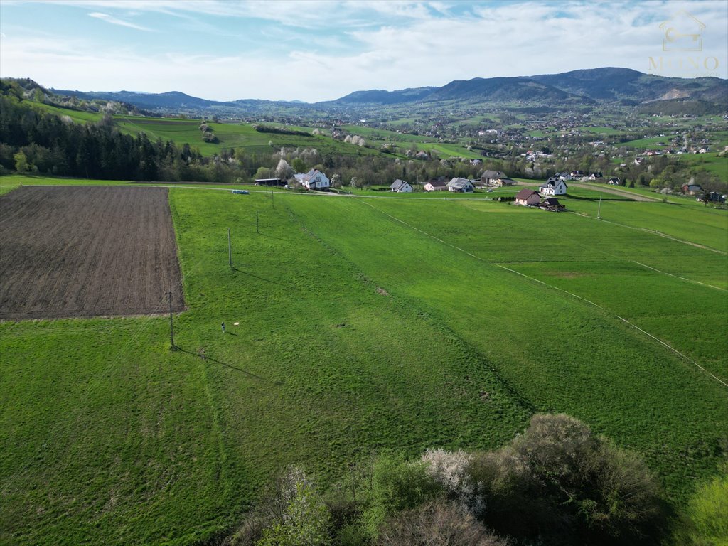 Działka rolna na sprzedaż Krasne Potockie  8 200m2 Foto 8