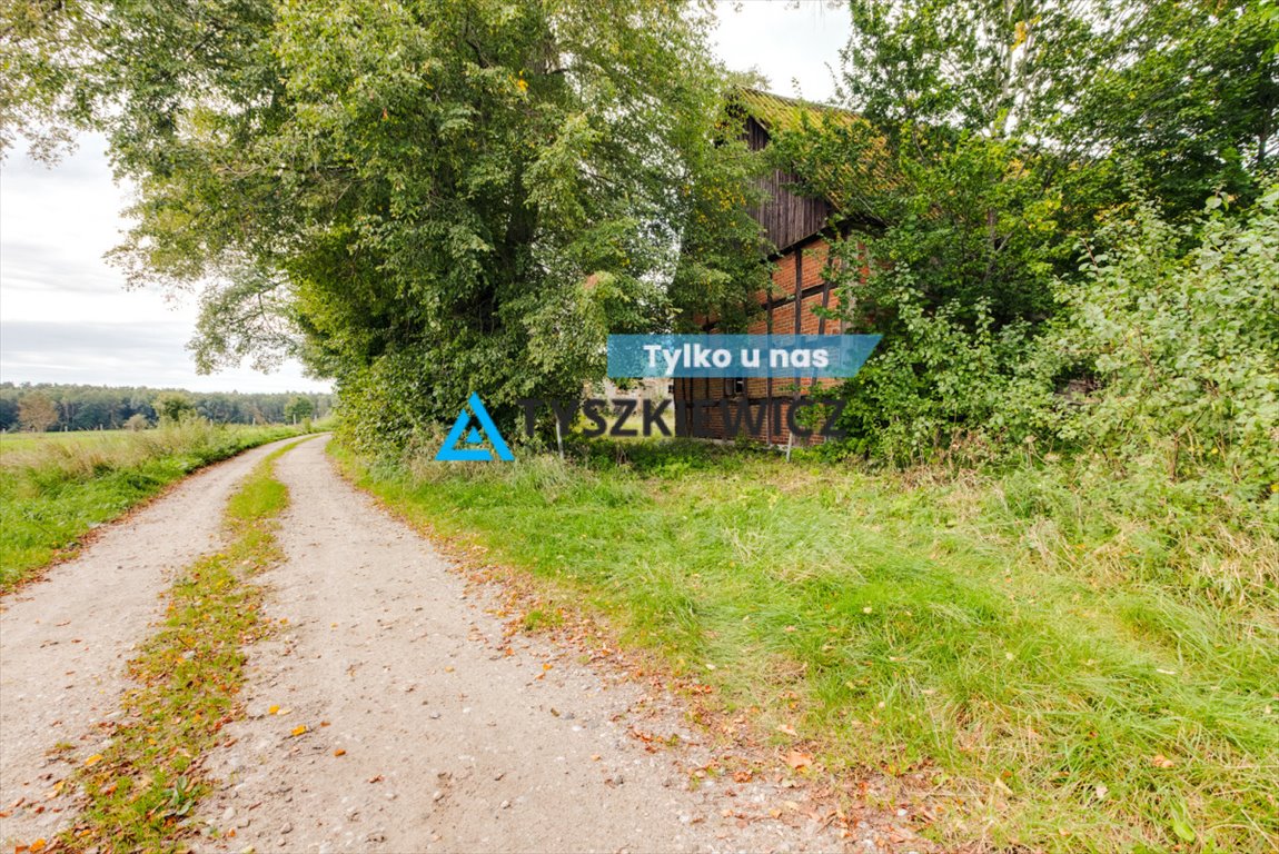 Działka siedliskowa na sprzedaż Rekowo Lęborskie  3 236m2 Foto 1