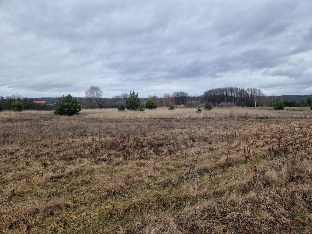 Działka budowlana na sprzedaż Ognica  760m2 Foto 6