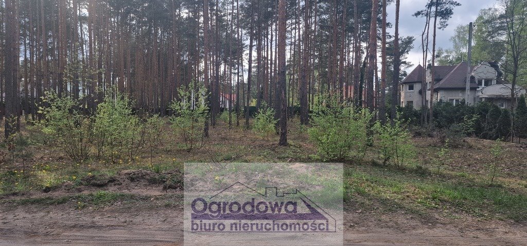 Działka budowlana na sprzedaż Zagościniec  4 059m2 Foto 2