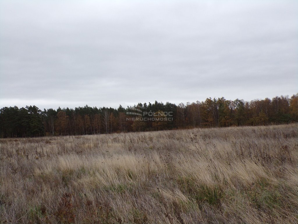 Działka budowlana na sprzedaż Głobino, Główna  1 000m2 Foto 8