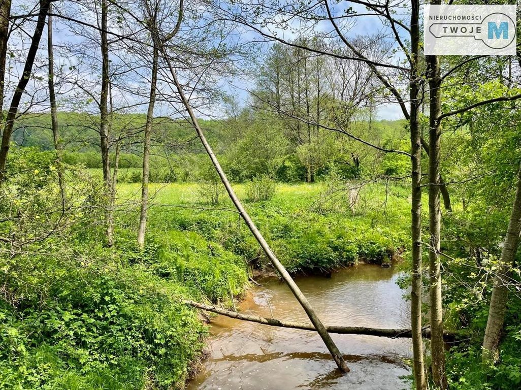 Działka inna na sprzedaż Ostrowiec Świętokrzyski, Czerwona Góra  6 400m2 Foto 11