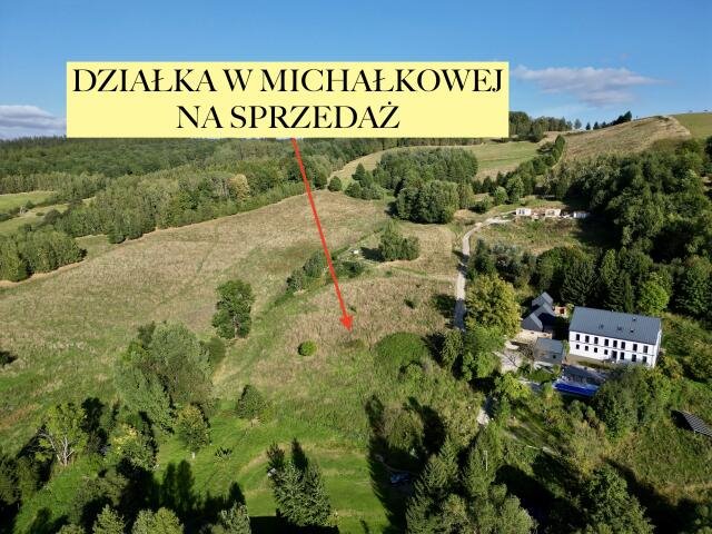 Działka inna na sprzedaż Michałkowa, Wiejska  6 015m2 Foto 1