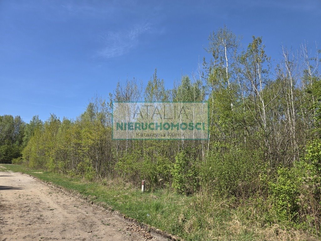 Działka 1710 m² z mediami, MPZP, zielona okolica - polecam Szczęsne  1 710m2 Foto 1