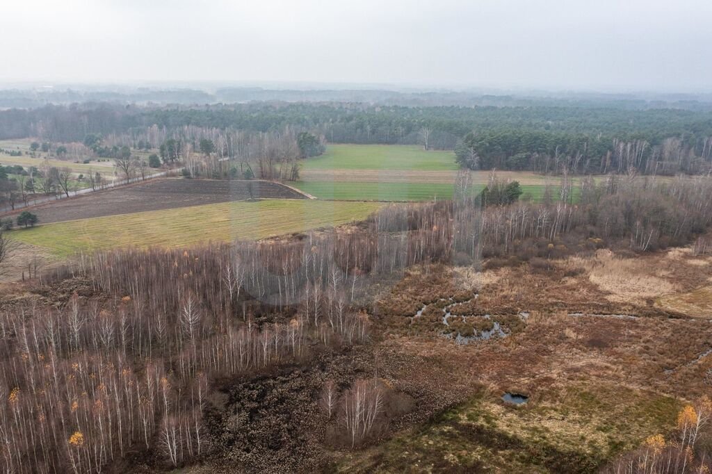 Działka komercyjna na sprzedaż Ręczaje Polskie  23 700m2 Foto 15