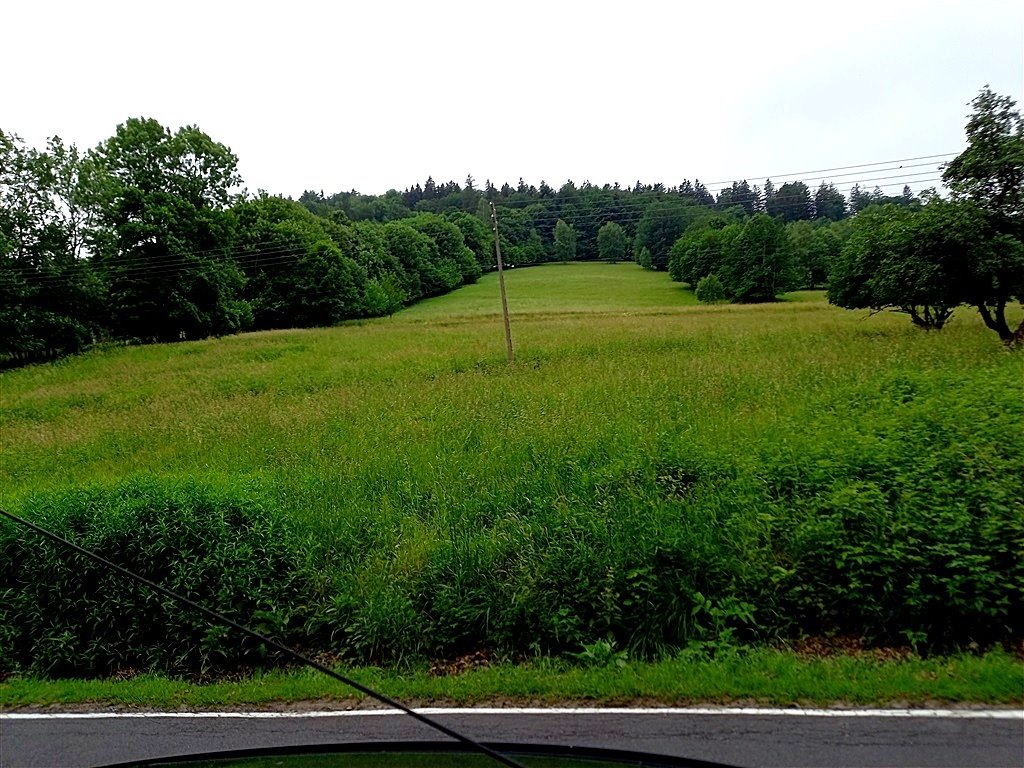 Duża działka z domem do remontu - tereny rolne i usługowe Walim  49 400m2 Foto 1